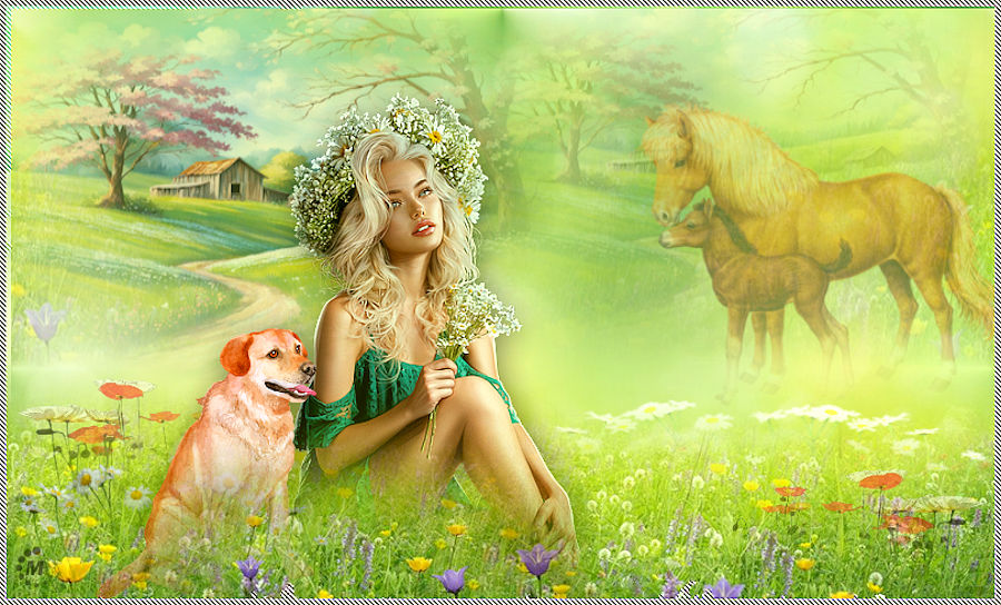 Na-cvetocnoj-luzajke