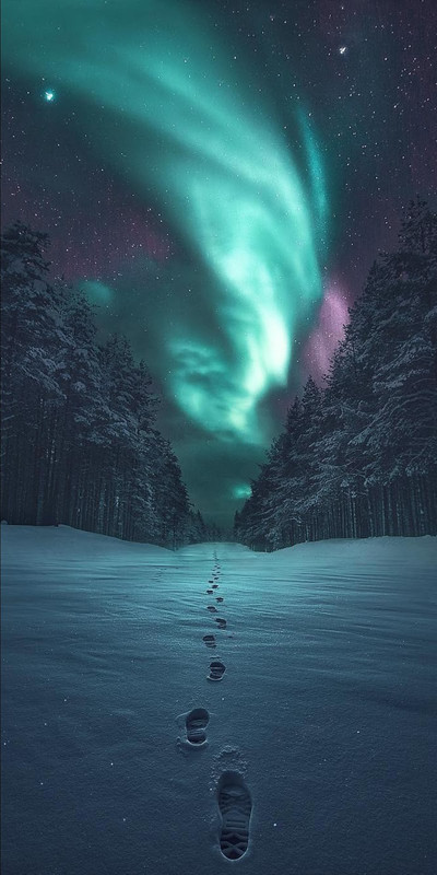 greenaurorafootsteps.jpg