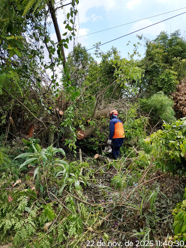 Whats App Image 2025 11 22 at 11 49 17 (1)