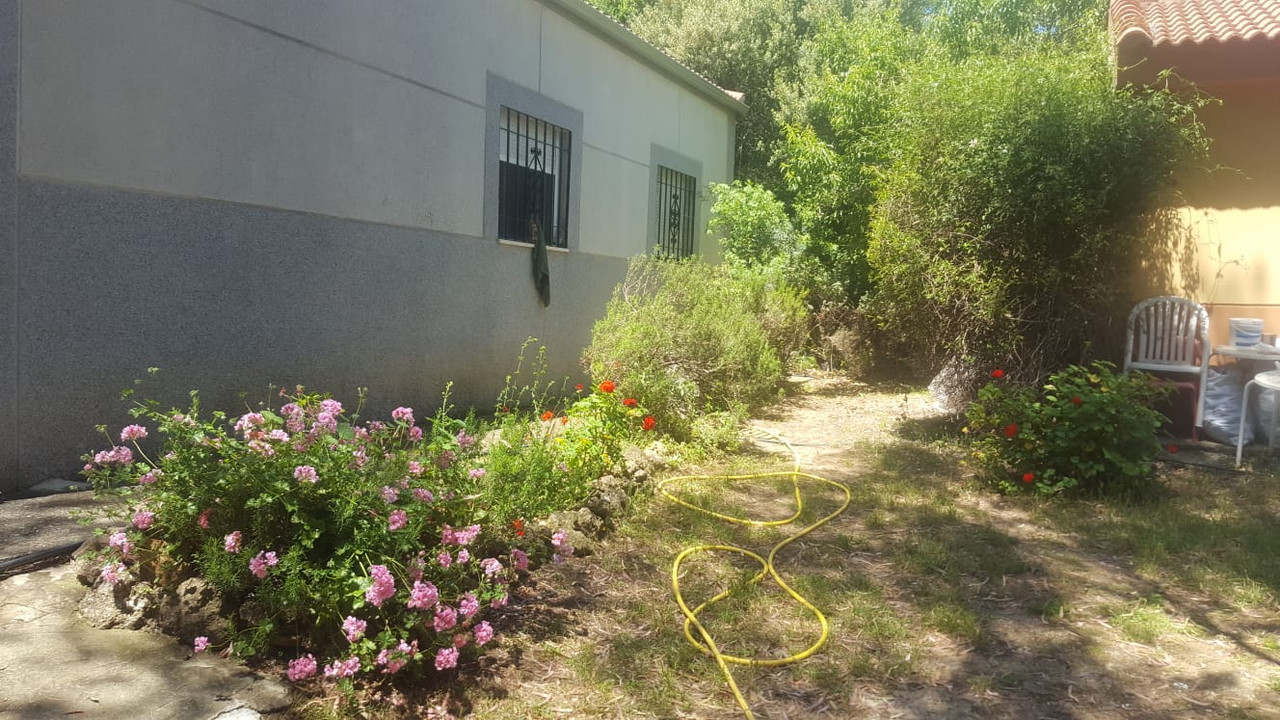 WhatsApp Image 2020-05-16 at 21.32.26 (2)