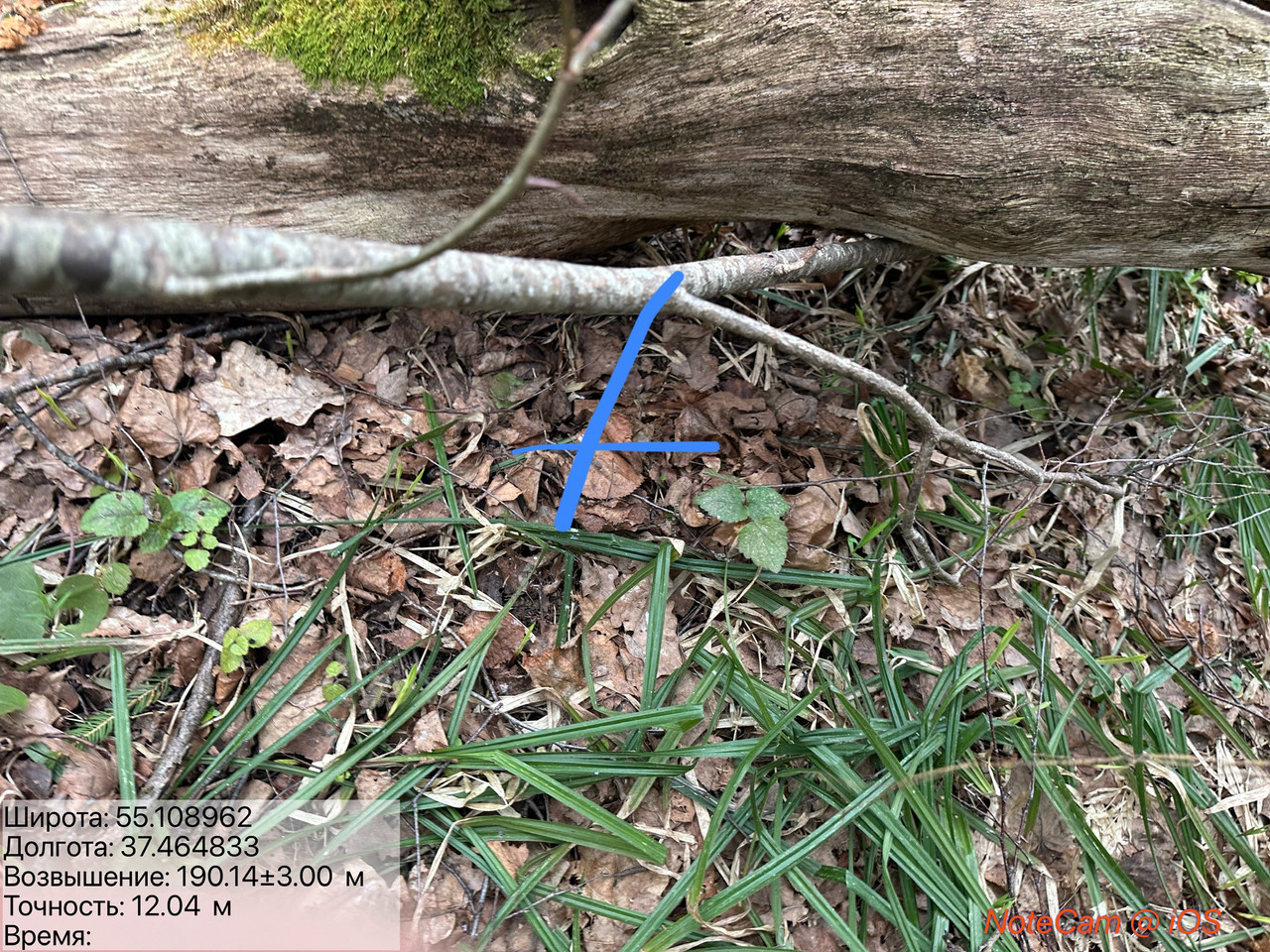 IMG E0529