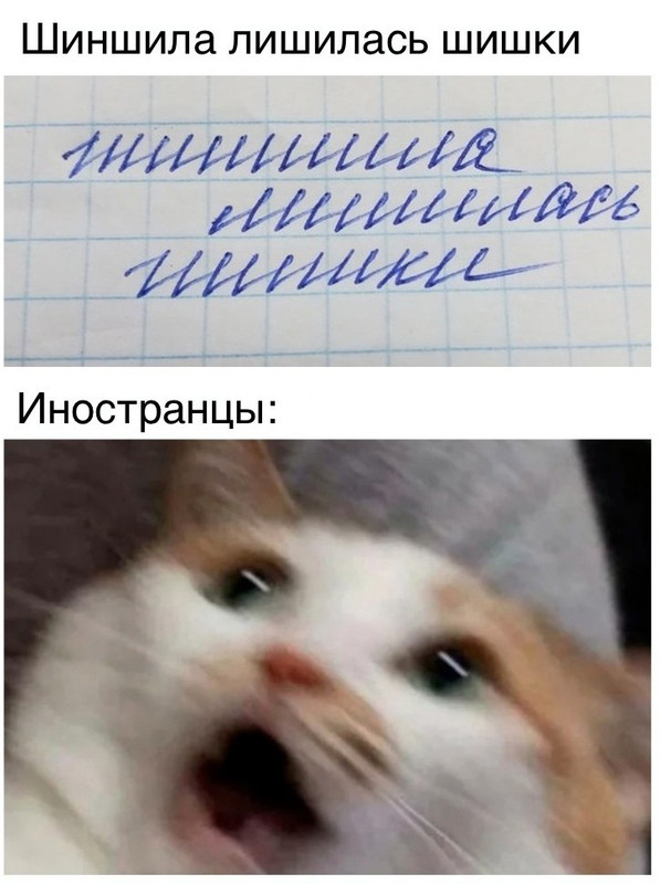 U1deHEqdpZnIY4eFNKwQPpNj15j-HOmzREcaWUKy8mD6kxfOv7KvDNdLHPI65ucxv0PQsyM2z4nfTGh64kCpSwIj