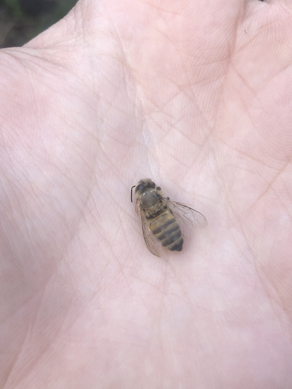 44AD5FD1-FA49-471F-9A00-3B86E82B64C5