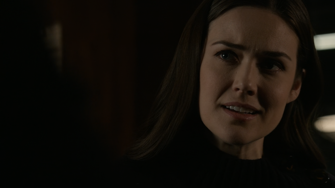 The.Blacklist.S07E15.Gordon.Kemp.1080p.10bit.AMZN.WEB-DL.AAC5.1.HEVC-Vyndros.mkv_snapshot_33.23_[202
