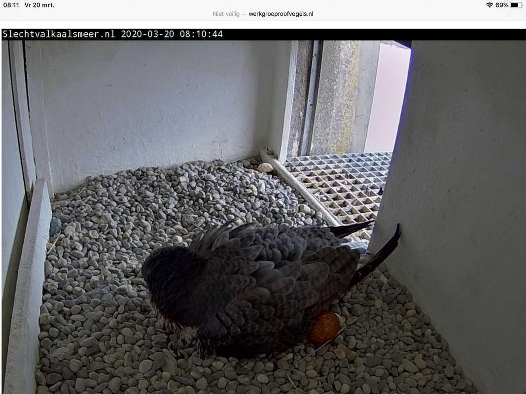 B7C6AB50-0423-4550-8F3D-8F0247CF1F23