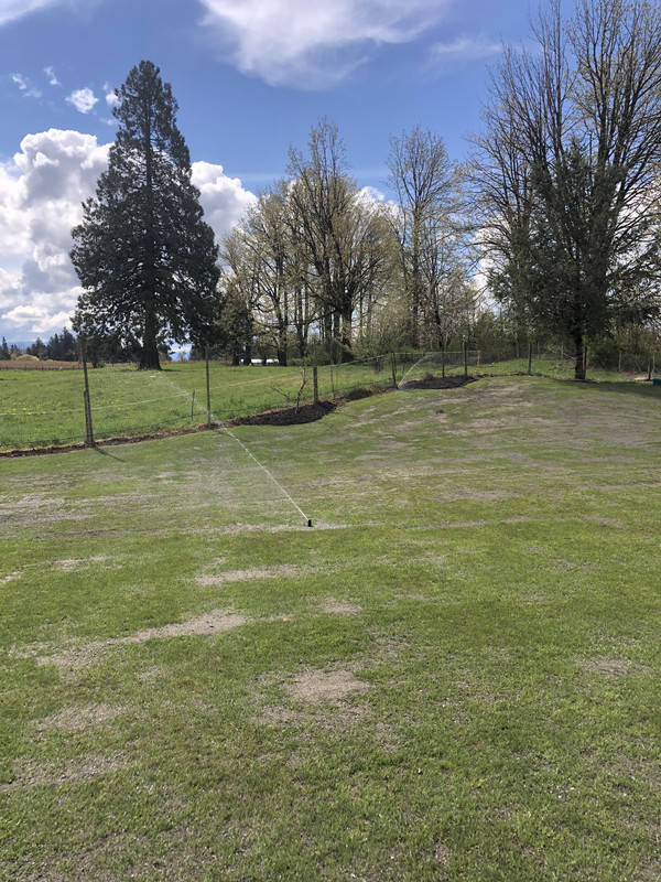 B74DF2AC-2E97-4DCC-9D0E-8ED99ED5AE58