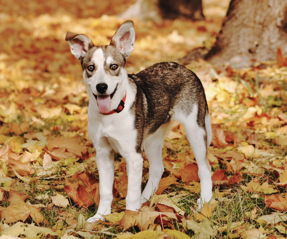 9533A8C1-A85D-43B0-80CD-082D3A8DF5DE