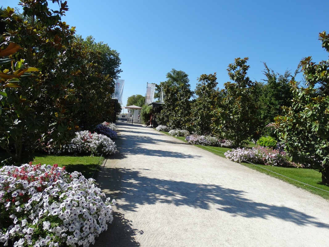 04.01 - DSC08451 (Czesio1)