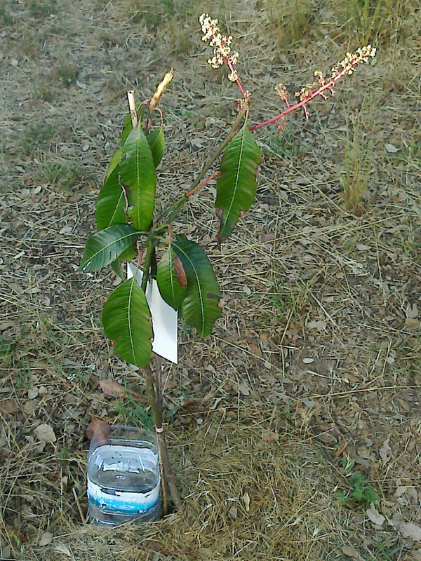 foto0101