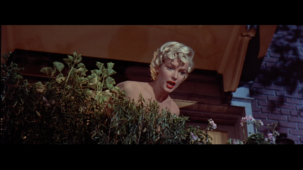 vlcsnap-2018-09-08-00h37m48s841