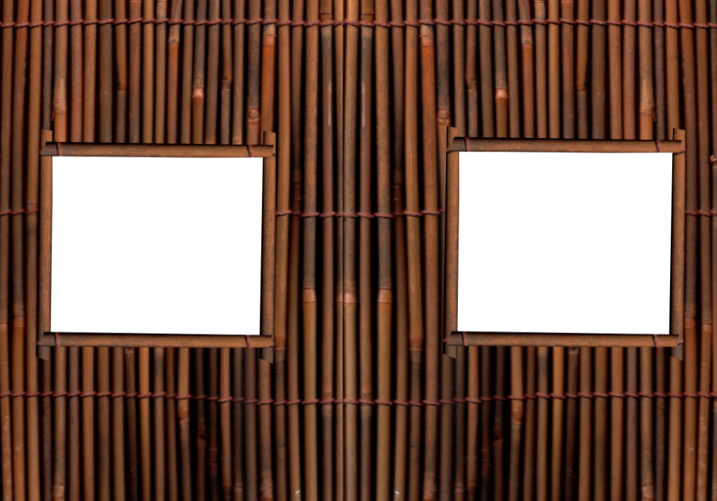 Dark Bamboo windowwall