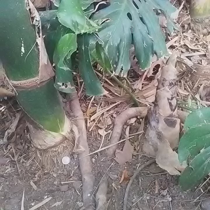 IMG_20200312_125413(1)