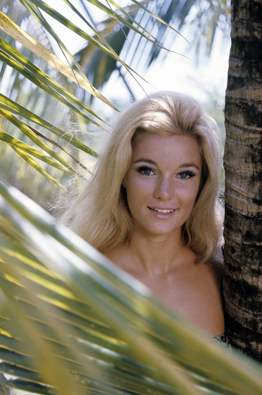 Yvette Mimieux d34
