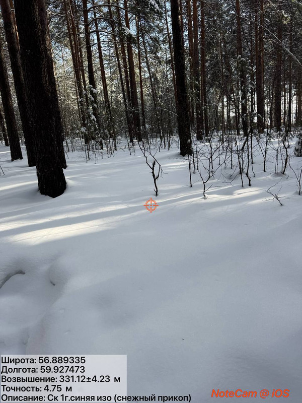 photo 2 2026 02 27 12 26 27