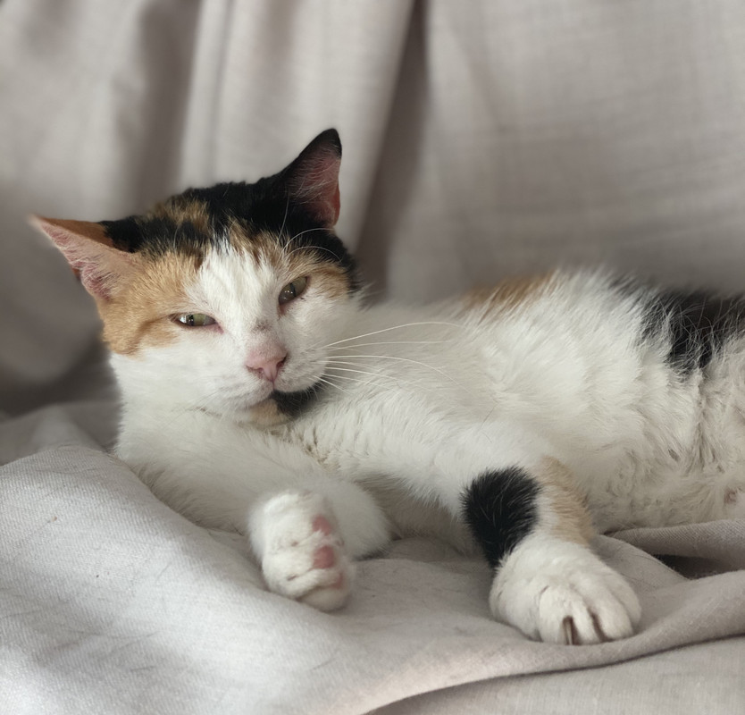 FDB24D68-607B-4FB5-97CC-A52051057E12