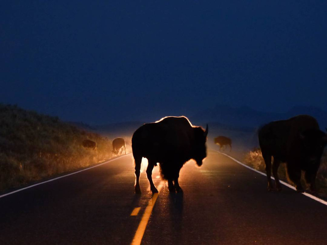 39443000_10151065430314964_3499284944687988736_o