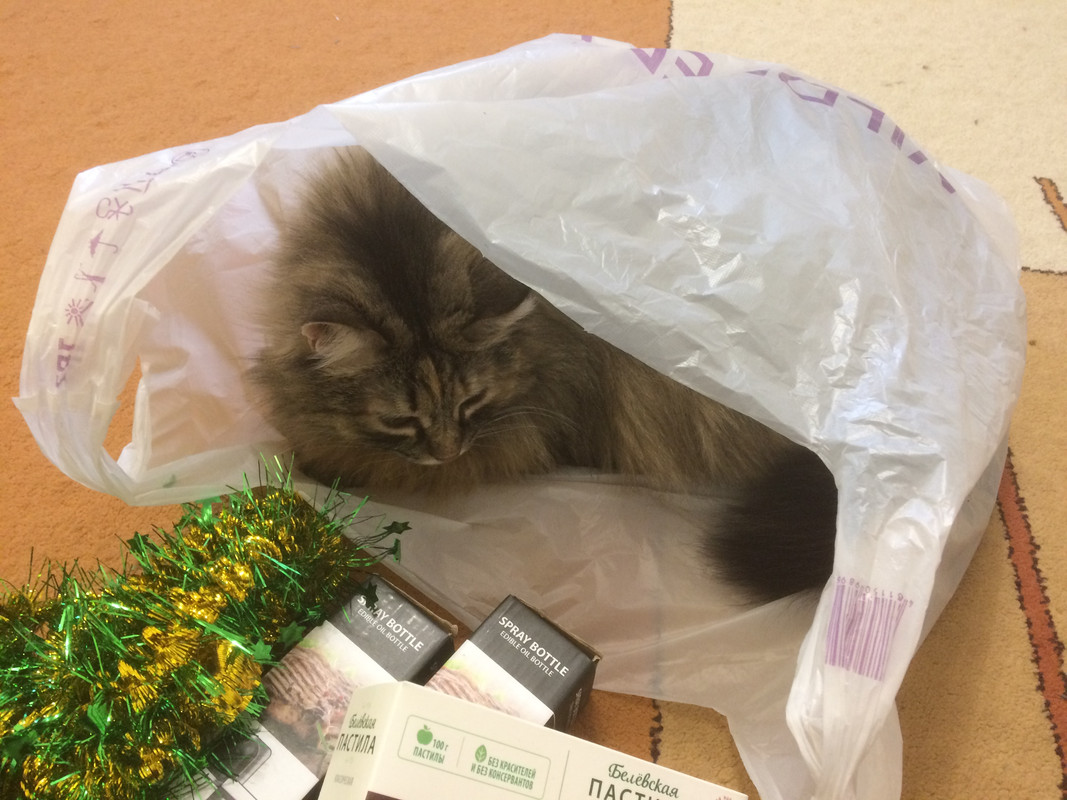 5035DB22-A519-49F3-8459-1C315472CE1E