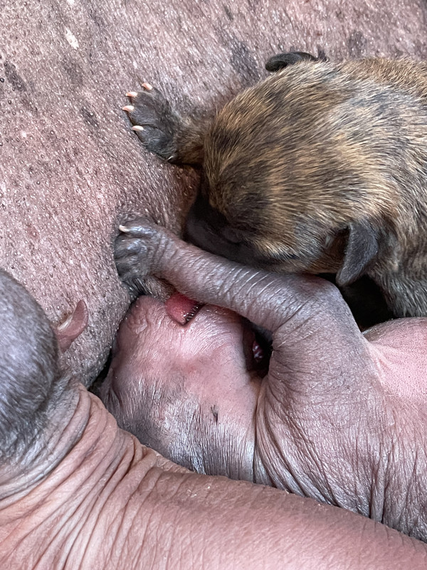 5299266F-0882-479F-AFF3-CA71811A5EC5