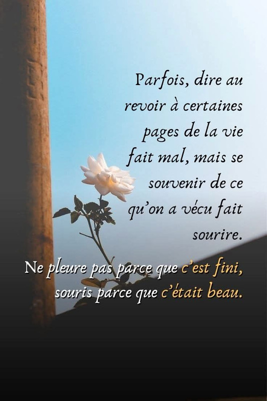 ce53dc9cc6e8640222f0f98304c3f4d9