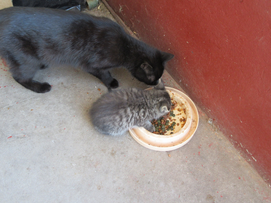 IMG-4249.jpg