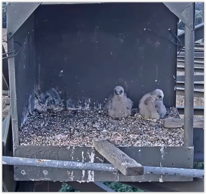 Screen Shot 07-27-22 at 07.02 PM 002