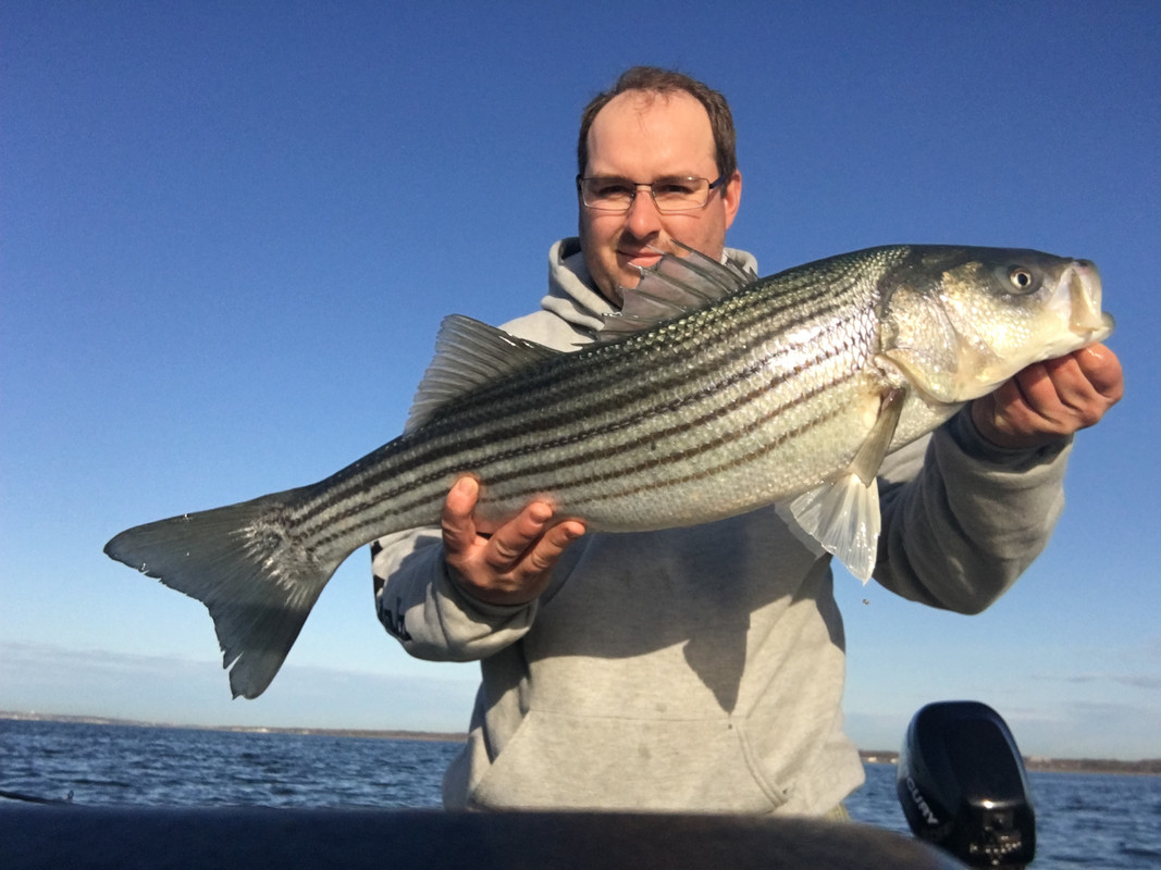 31502BC0-B435-4FA8-B336-5504CD4146DA