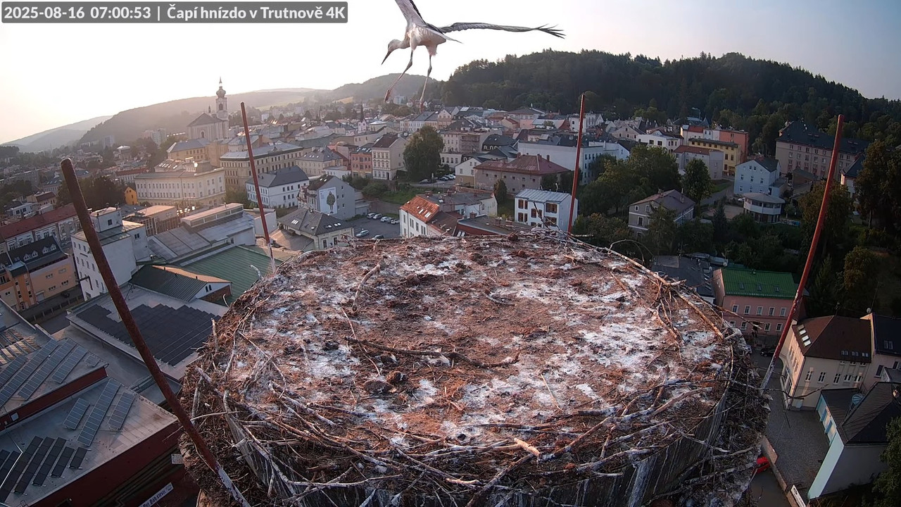 Živě z čapího hnízda na pivovarském komíně v Trutnově 9-39-43 screenshot