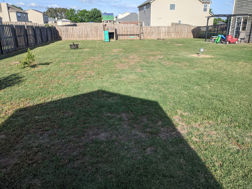 2021.05.21 back yard 4