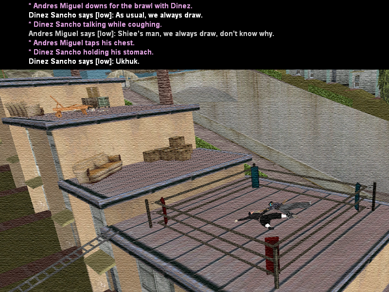 SSRoleplay113.png