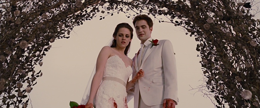 The Twilight Saga: Breaking Dawn - Part 1 2011 BluRay [Hindi + Tamil + Telugu + English] 480p, 720p, 1080p ESub Screenshot