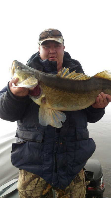 30 Пчелинцев сергей — копия