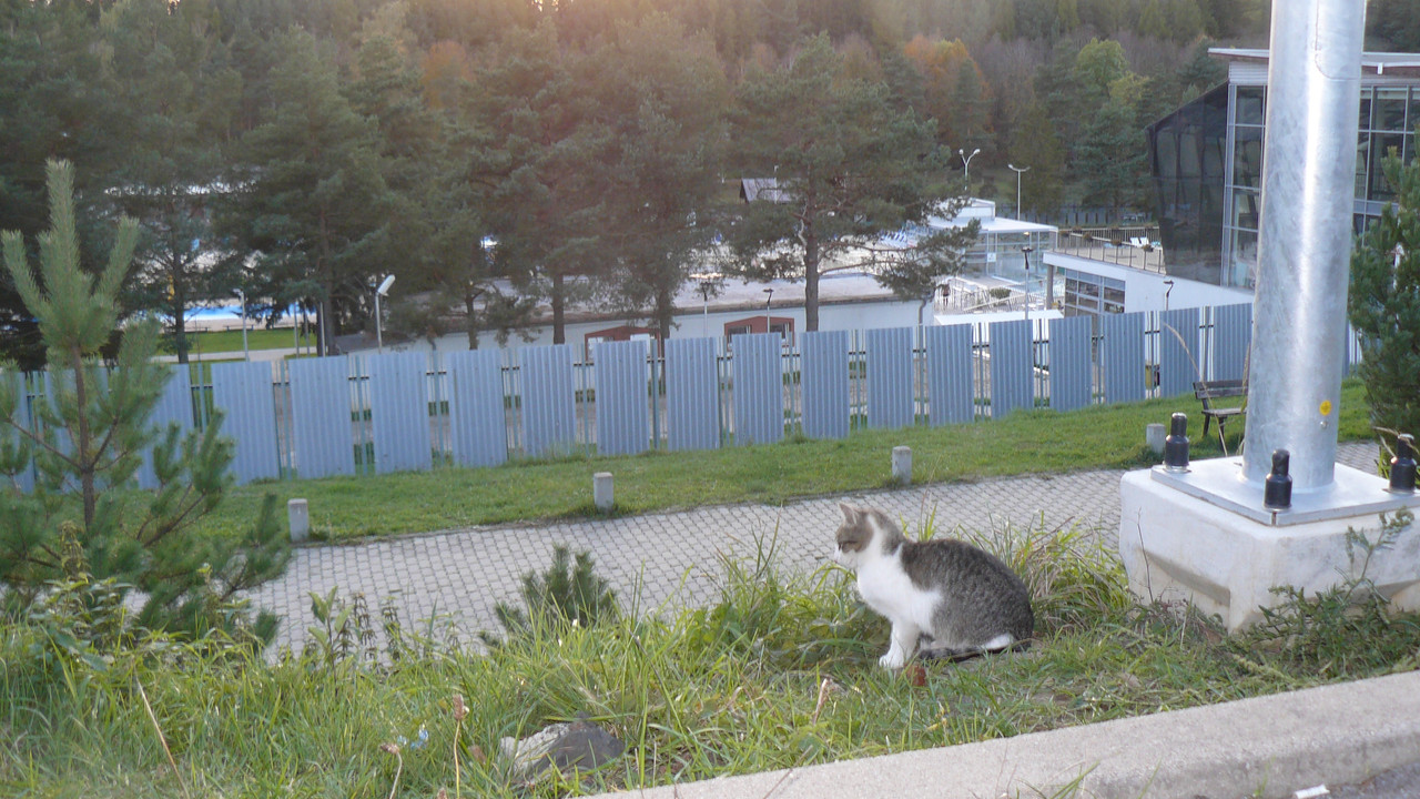 [Obrazek: P1090675.jpg]