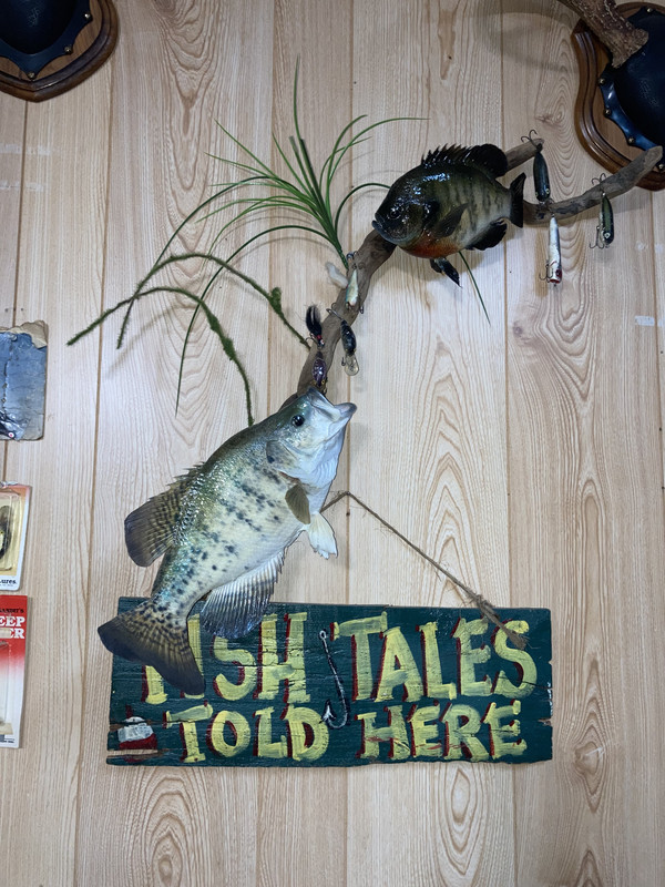 AFD04439-5245-4647-840E-272225AC4549