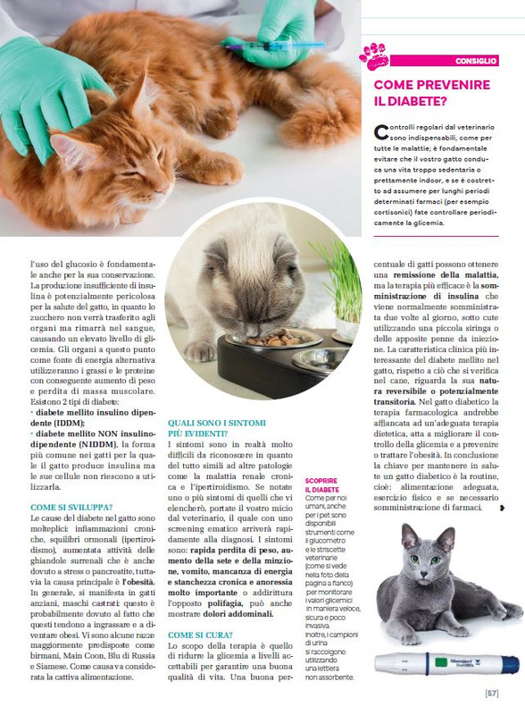 Ga Ma Ott-Nov 2023 (12)