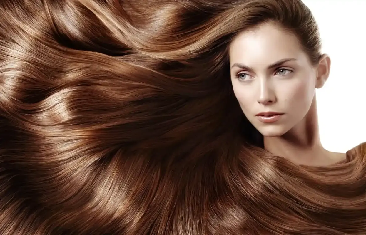 Dark Brown with Caramel Highlights