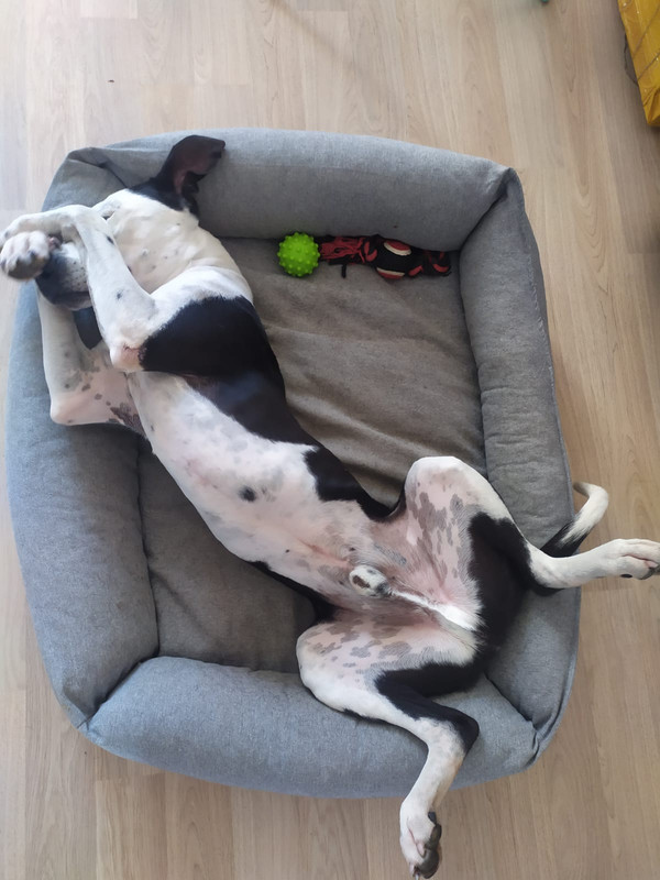 76E682AA-E05B-4142-AA93-CF87278B9CB3