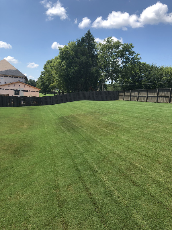 6B705921-00DF-4E82-B7D0-5C69E852F438