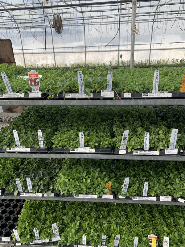 E5D740DA-057B-45B4-81F5-410257CE83F3