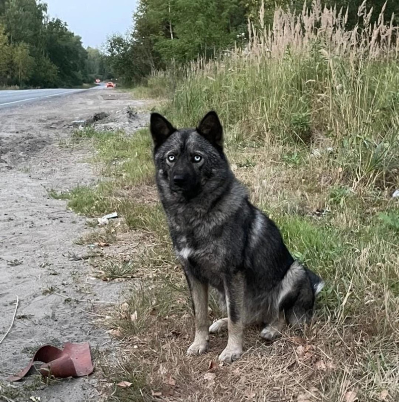 WhatsApp Image 2022-09-03 at 15.02.59 (2)