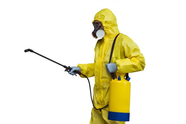 pest control Tampa
