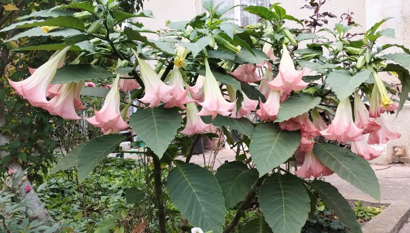 изображение_viber_2023-10-31_15-35-27-921