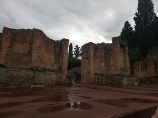 Diario de a bordo: MCS Bellísima, una experiencia maravillosa - Blogs de Mediterráneo - PISA, NÁPOLES-POMPEYA Y REGRESO A VALENCIA (12)
