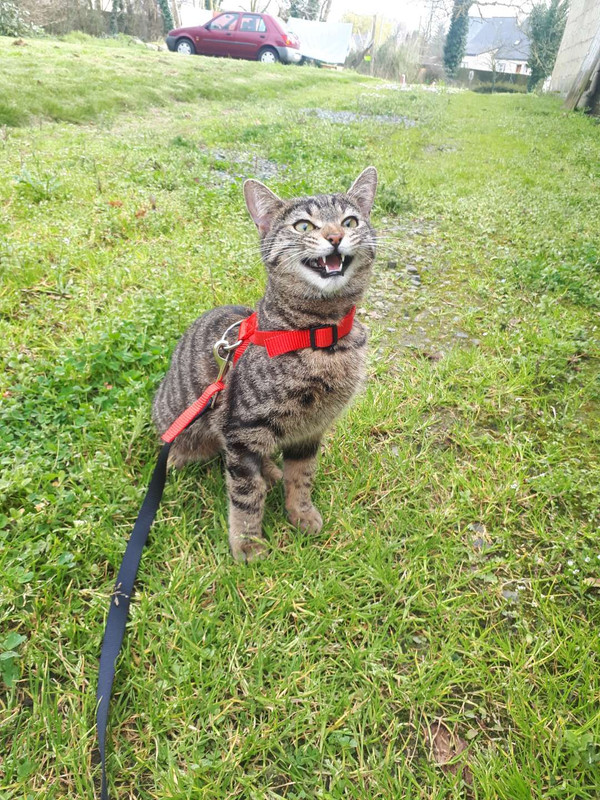 Resized_20220319_155238_8287