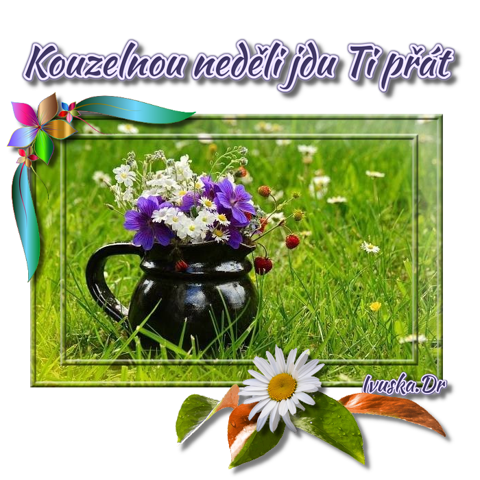 Kouzelnou-ned-li-jdu-p-t.png