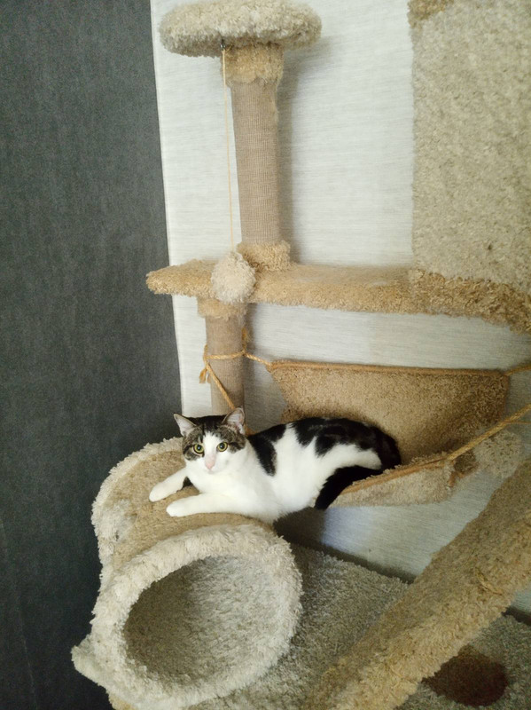 изображение_viber_2021-06-10_14-26-05-031