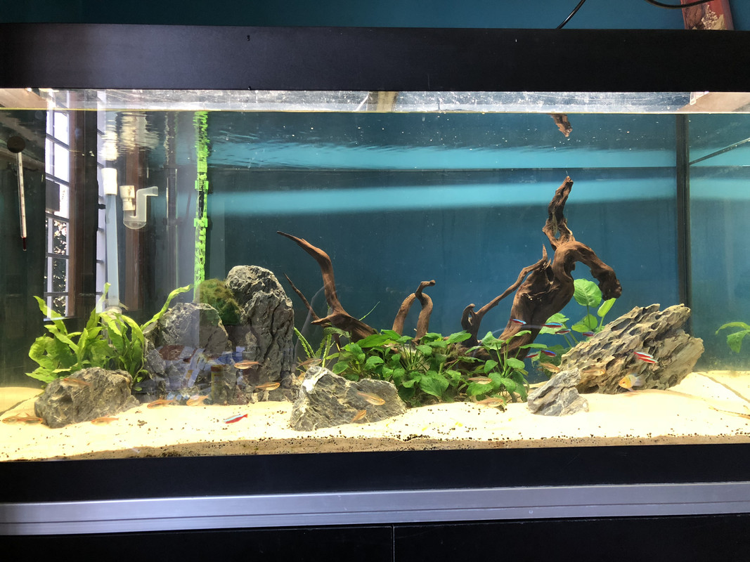 FB8D833A-C382-49F0-B1AB-DE0C7AEB8C58