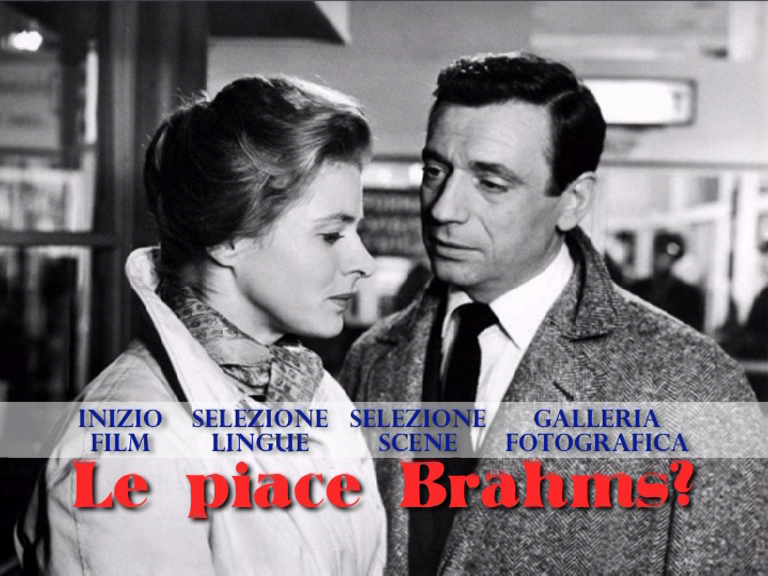 vlcsnap-2019-02-05-23h23m34s604