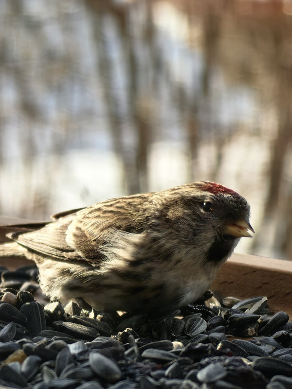 изображение_viber_2024-04-07_09-12-02-861