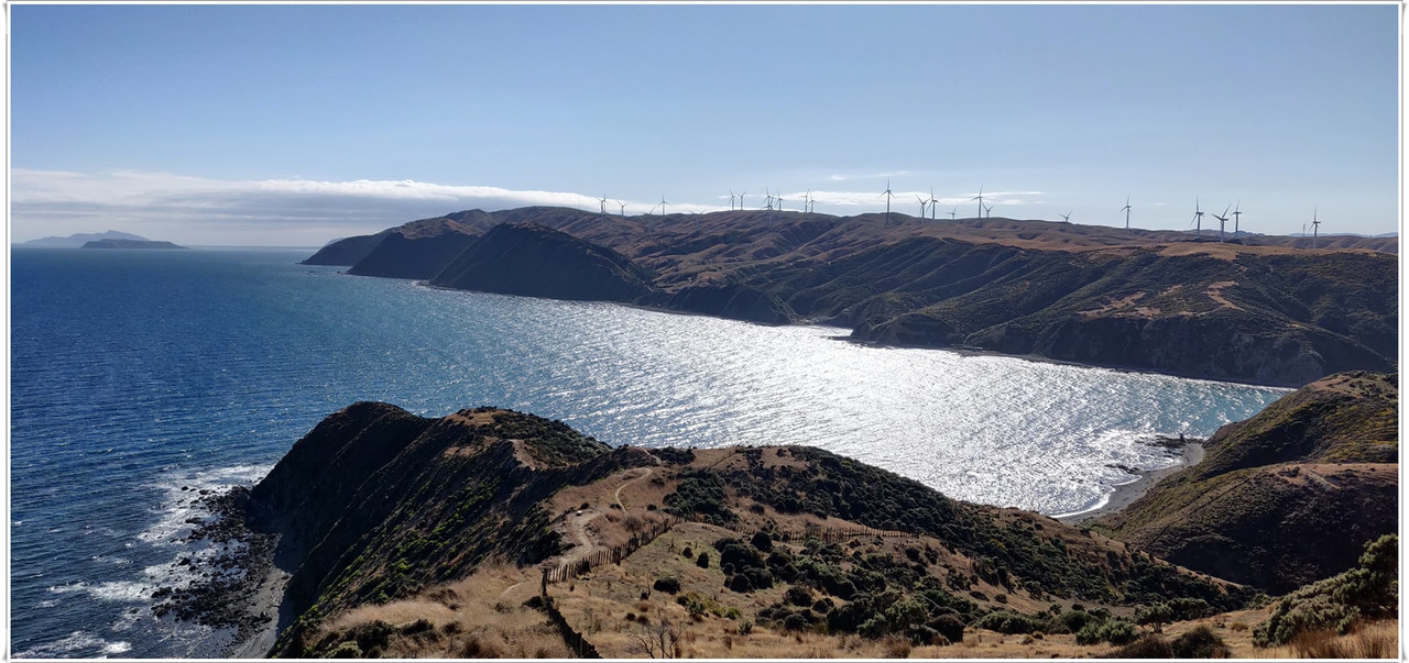 Escapadas y rutas por la Nueva Zelanda menos conocida - Blogs de Nueva Zelanda - Wellington más allá del Te Papa y el Cable Car (27)