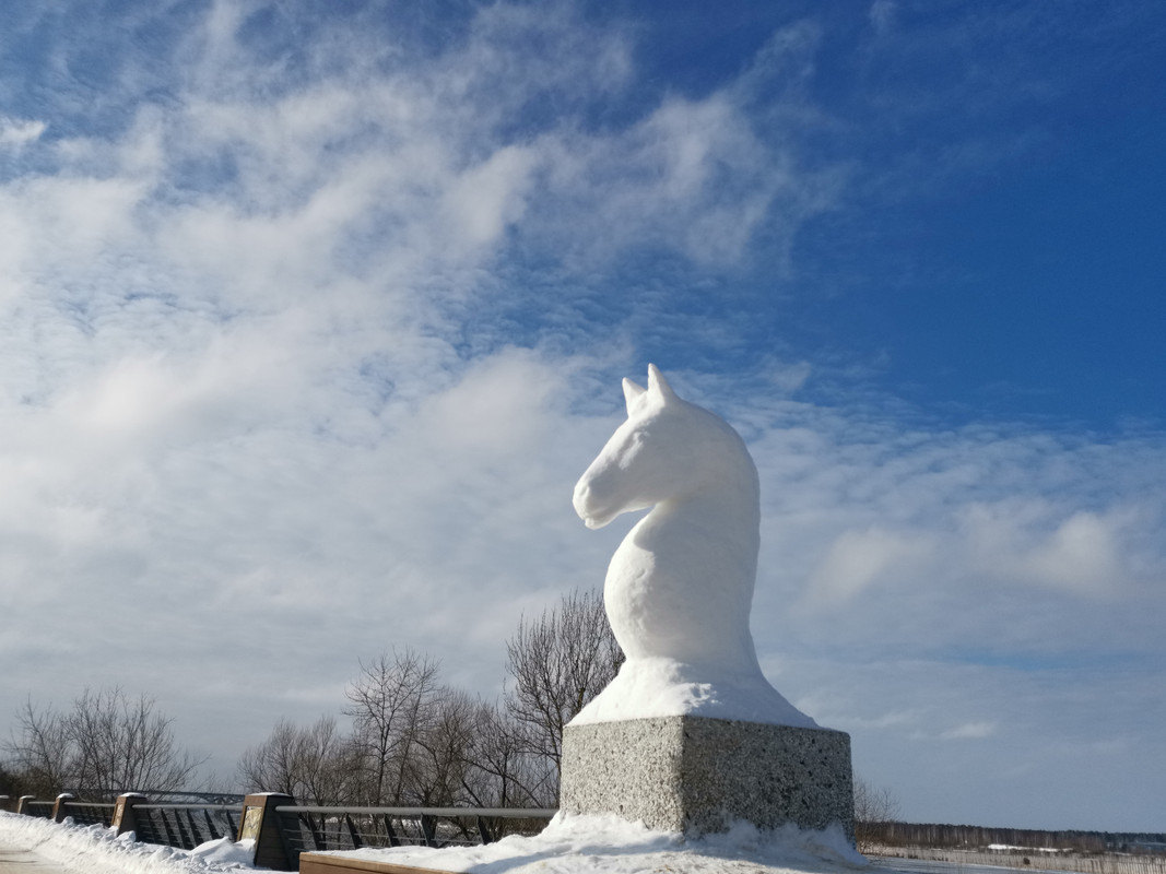 IMG_20230218_конь днем